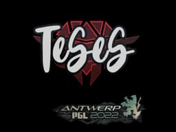 TeSeS | Antwerp 2022