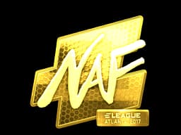NAF (Gold) | Atlanta 2017