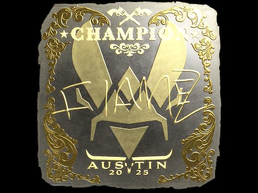 FlameZ (Gold, Champion) | Austin 2025