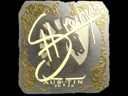 siuhy (Gold) | Austin 2025