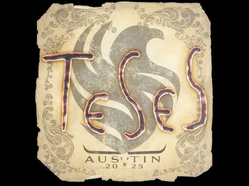 TeSeS | Austin 2025