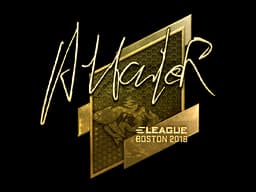 Attacker (Gold) | Boston 2018