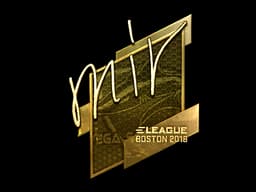 mir (Gold) | Boston 2018