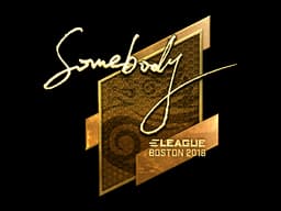 somebody (Gold) | Boston 2018