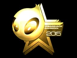 Team Dignitas (Gold) | Cluj-Napoca 2015