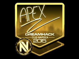 apEX (Gold) | Cluj-Napoca 2015
