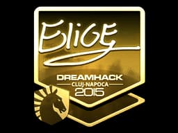 EliGE (Gold) | Cluj-Napoca 2015