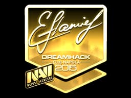 flamie (Gold) | Cluj-Napoca 2015