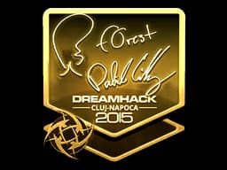 f0rest (Gold) | Cluj-Napoca 2015