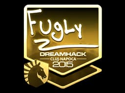 FugLy (Gold) | Cluj-Napoca 2015