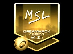 MSL (Gold) | Cluj-Napoca 2015