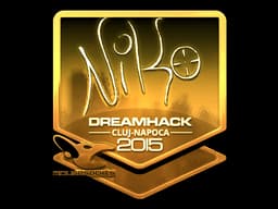 NiKo (Gold) | Cluj-Napoca 2015