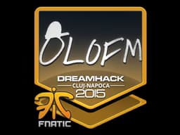 olofmeister | Cluj-Napoca 2015