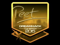peet (Gold) | Cluj-Napoca 2015