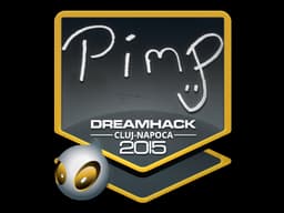 Pimp | Cluj-Napoca 2015