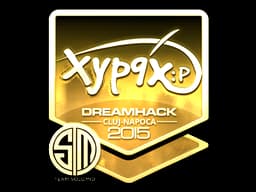 Xyp9x (Gold) | Cluj-Napoca 2015