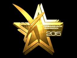 Vexed Gaming (Gold) | Cluj-Napoca 2015