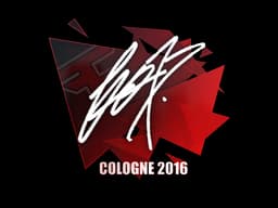 fox | Cologne 2016
