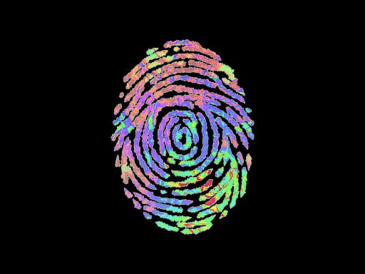 Evidence (Holo)