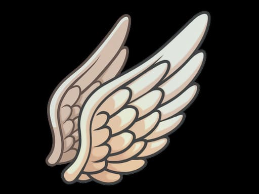 Fly High