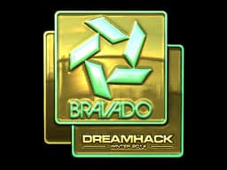 Bravado Gaming (Gold) | DreamHack 2014