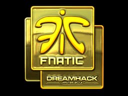 Fnatic (Gold) | DreamHack 2014
