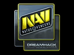 Natus Vincere (Foil) | DreamHack 2014