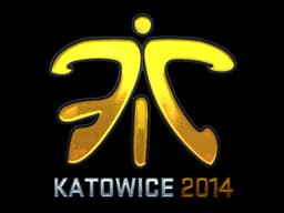 Fnatic (Foil) | Katowice 2014