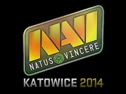 Natus Vincere (Holo) | Katowice 2014