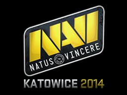 Natus Vincere | Katowice 2014