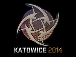 Ninjas in Pyjamas (Holo) | Katowice 2014