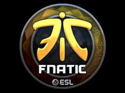 Fnatic (Foil) | Katowice 2019