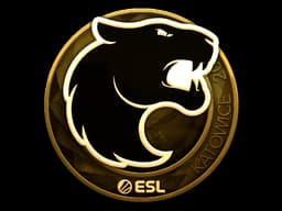 FURIA (Gold) | Katowice 2019