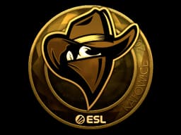 Renegades (Gold) | Katowice 2019