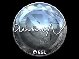 aumaN (Foil) | Katowice 2019
