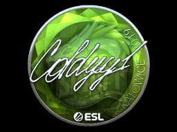 COLDYY1 (Foil) | Katowice 2019