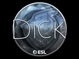 DickStacy (Foil) | Katowice 2019