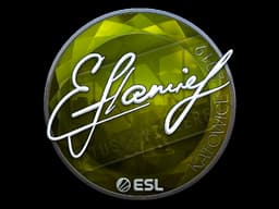 flamie (Foil) | Katowice 2019