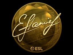 flamie (Gold) | Katowice 2019
