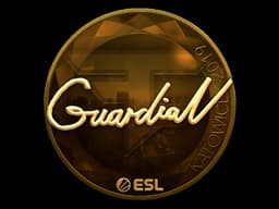 GuardiaN (Gold) | Katowice 2019