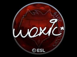 woxic (Foil) | Katowice 2019