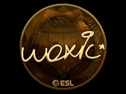 woxic (Gold) | Katowice 2019