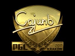 cajunb (Gold) | Krakow 2017