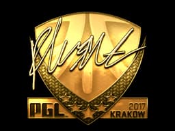 flusha (Gold) | Krakow 2017