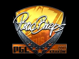 pashaBiceps (Foil) | Krakow 2017
