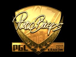 pashaBiceps (Gold) | Krakow 2017