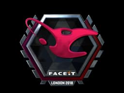 mousesports (Foil) | London 2018