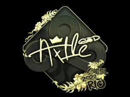 Ax1Le (Gold) | Rio 2022