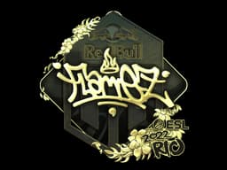 FlameZ (Gold) | Rio 2022