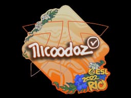 nicoodoz | Rio 2022